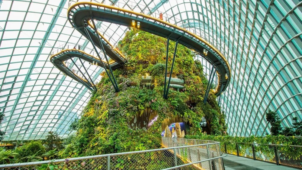 1. Cloud Forest