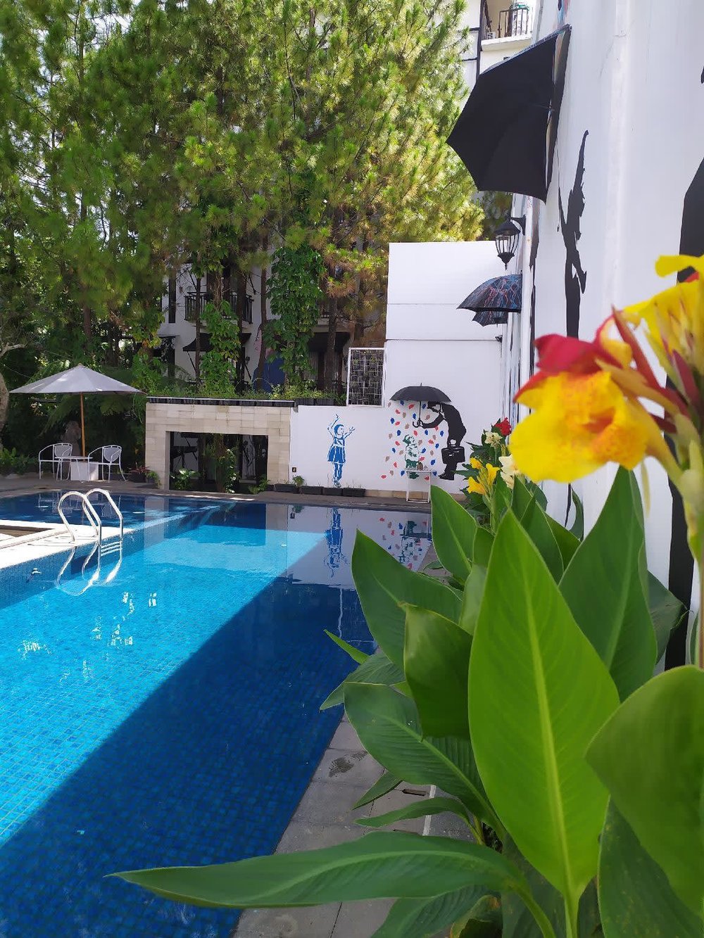 The Silk at Dago Boutique Hotel Bandung - Swimming Pool