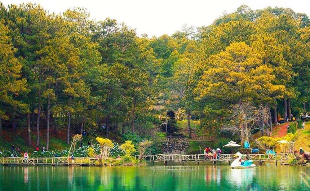  Thung Lũng Vàng - Địa Điểm Cắm Trại Siêu HOT Ở Đà Lạt