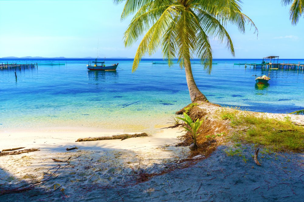 Di Chuyển Bằng Xe Buýt