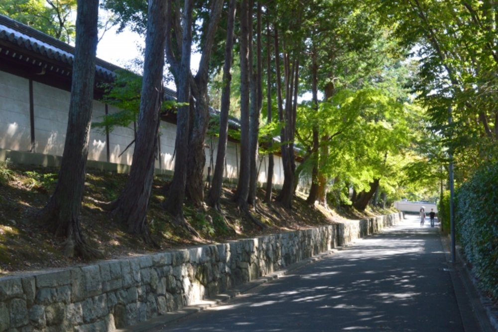 京都　東福寺