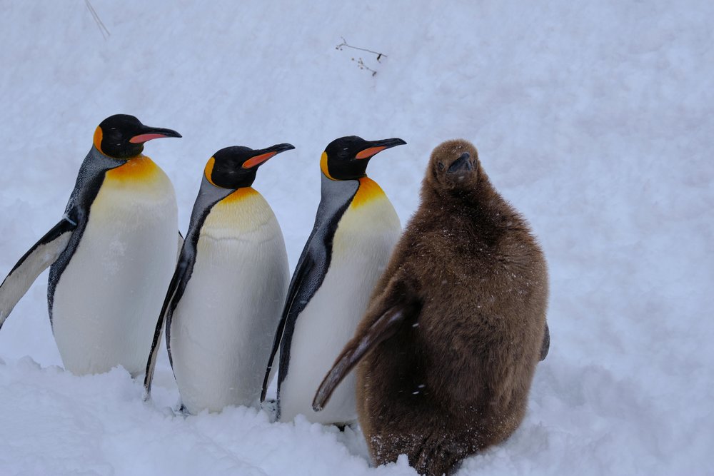 hokkaido road trips Asahikawa