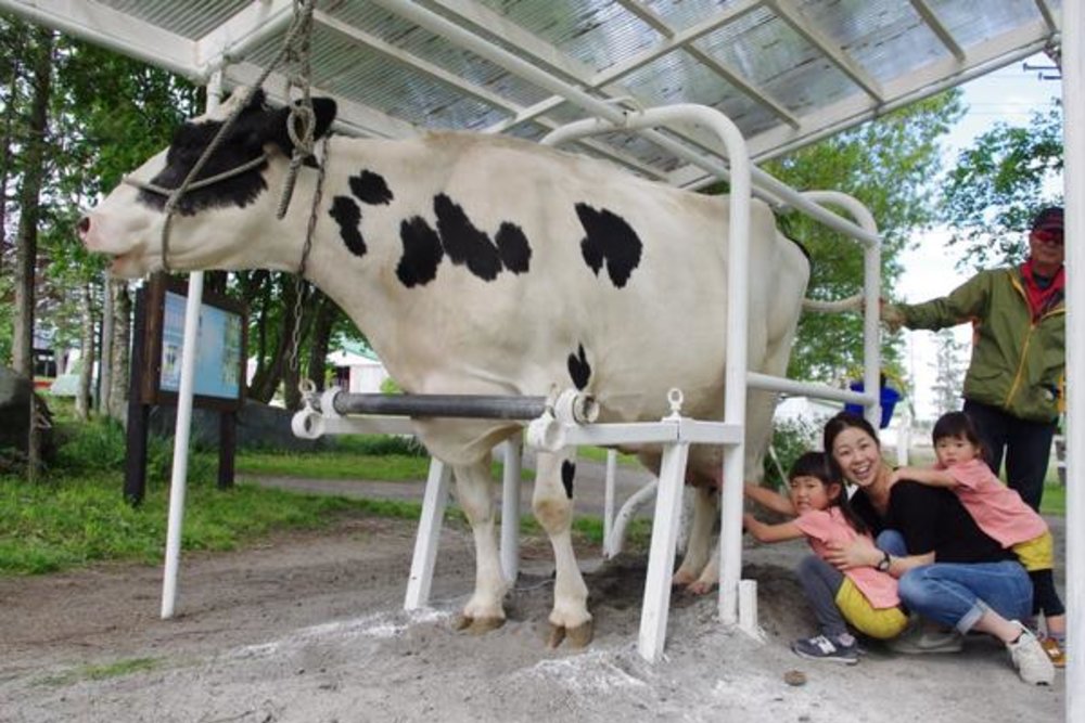 hokkaido road trips Hakone Farm