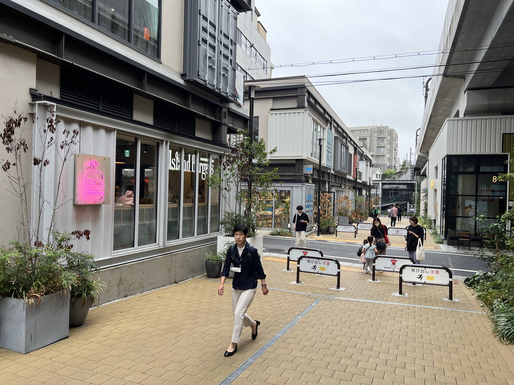 pathway in MIKAN shimokita