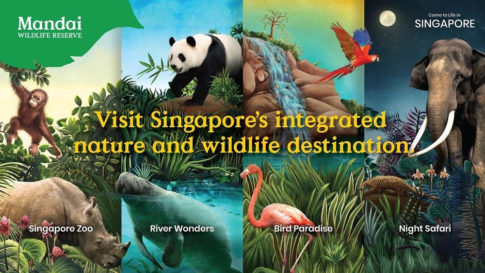 mandai park hopper packages