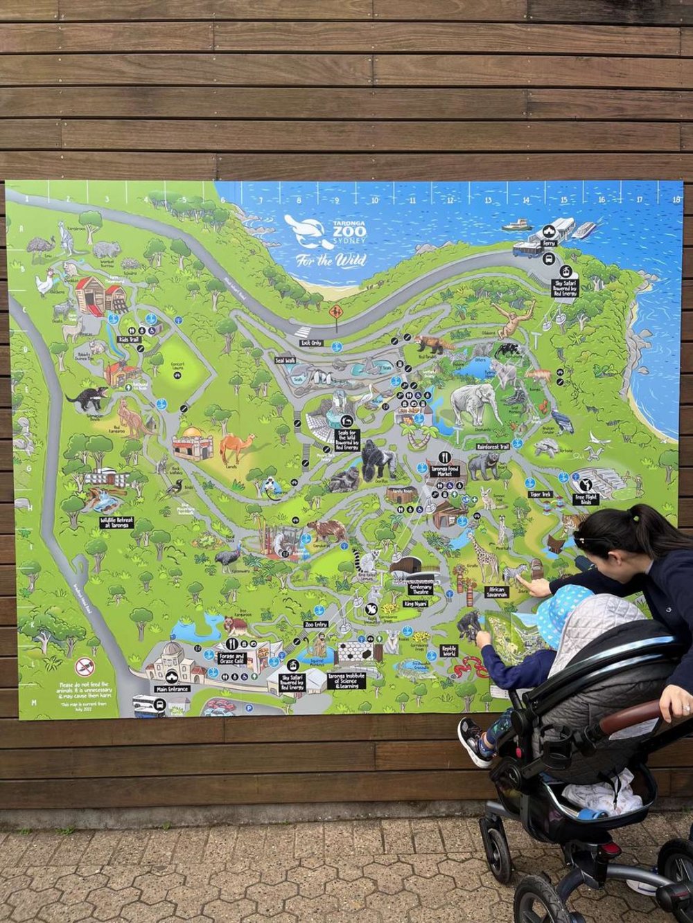 シドニー タロンガ動物園 園内マップ