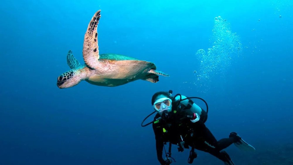 6. Discover the iconic Okinawa Blue Cave