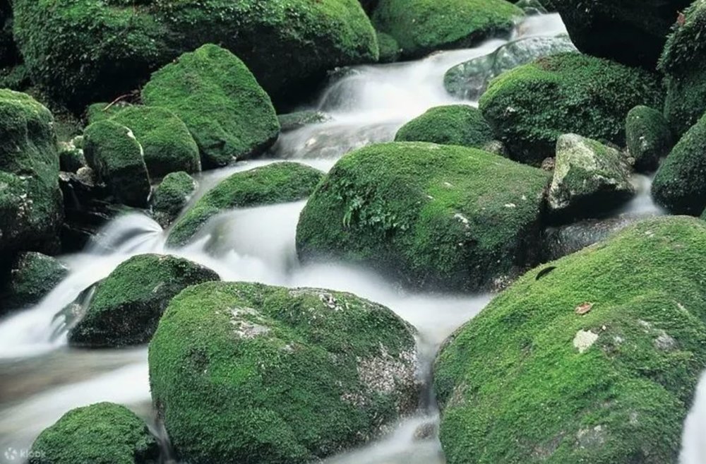 九州白谷雲水峽