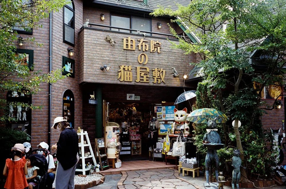 由布院景點, 猫屋敷 & 犬家敷