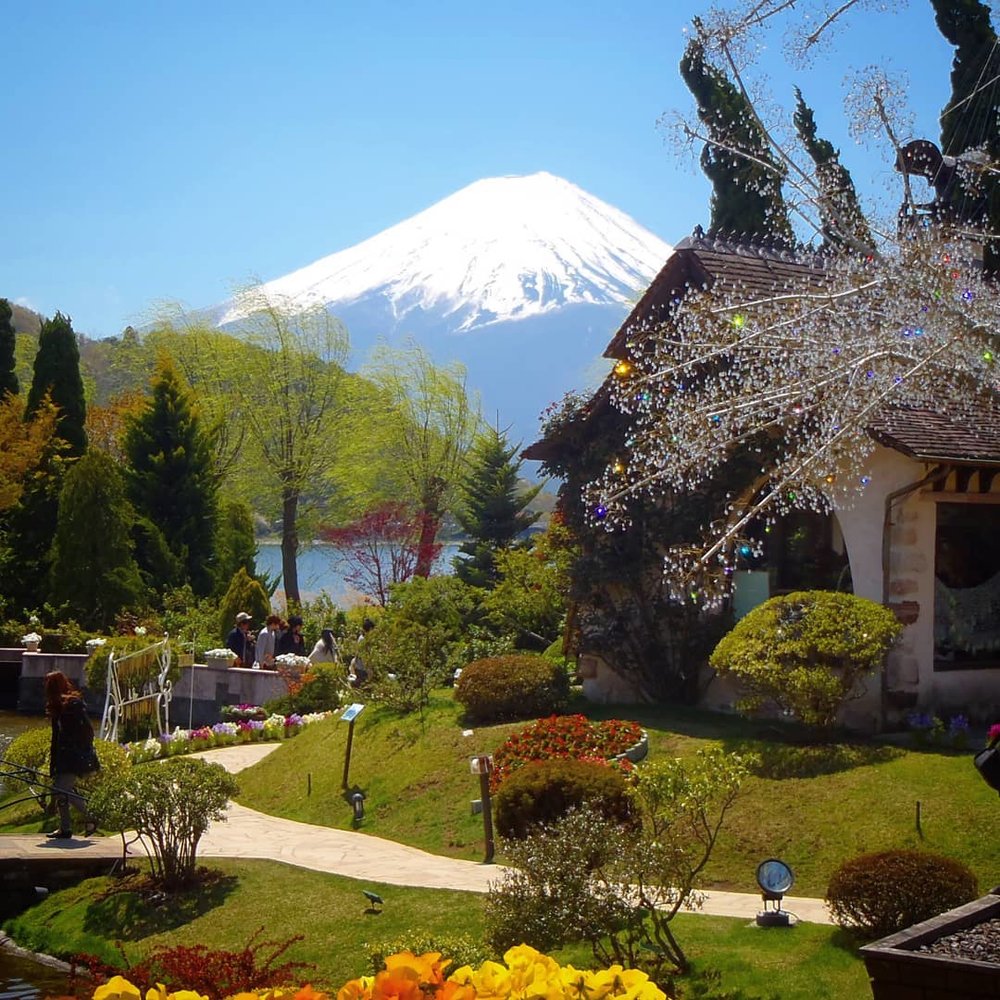 由布院景點 6.ガラスの森(玻璃之森)、オルゴールの森(音樂盒之森)