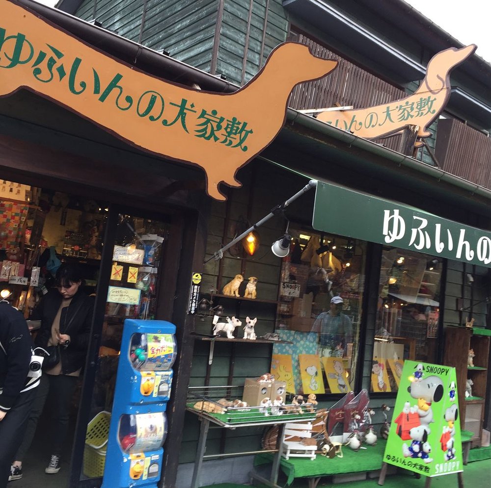 由布院景點, 猫屋敷 & 犬家敷