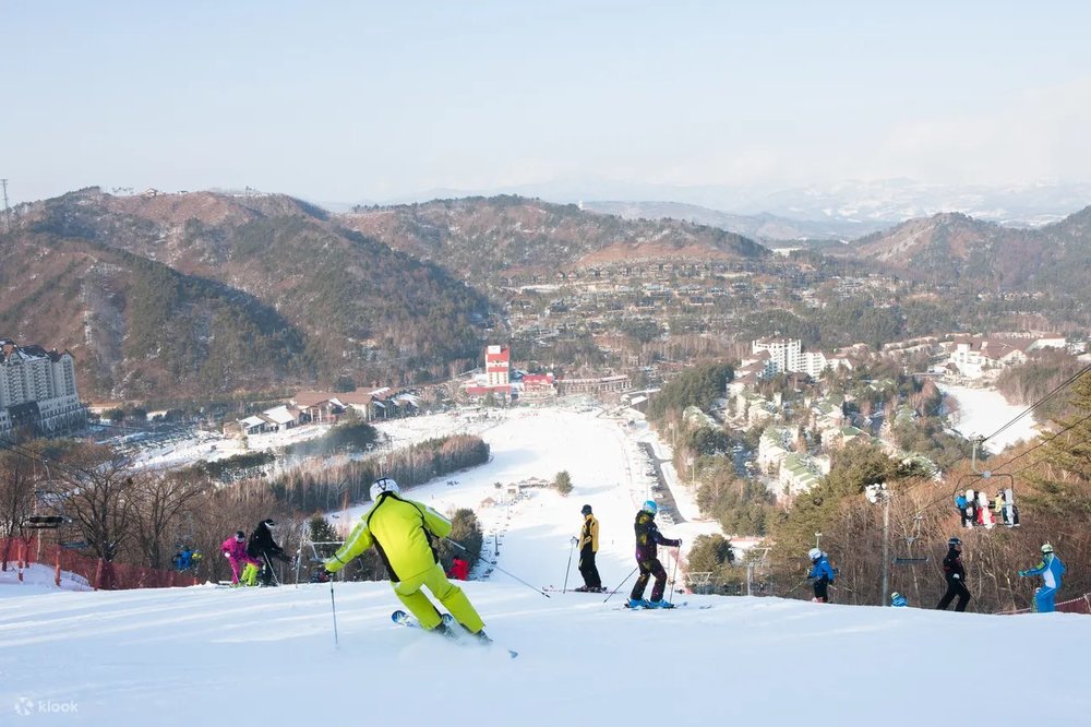 Yongpyeong Ski Resort｜Features Introduction