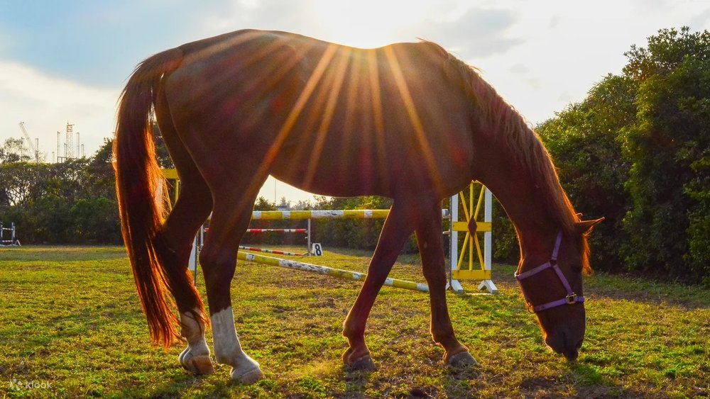 Đạm Thủy - Cảnh Đẹp Trứ Danh Tân Bắc