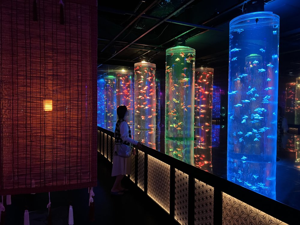 woman enjoying the installments in art aquarium ginza