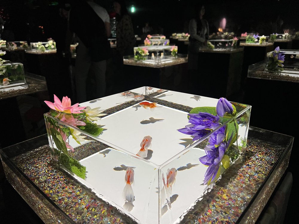 inside art aquarium ginza