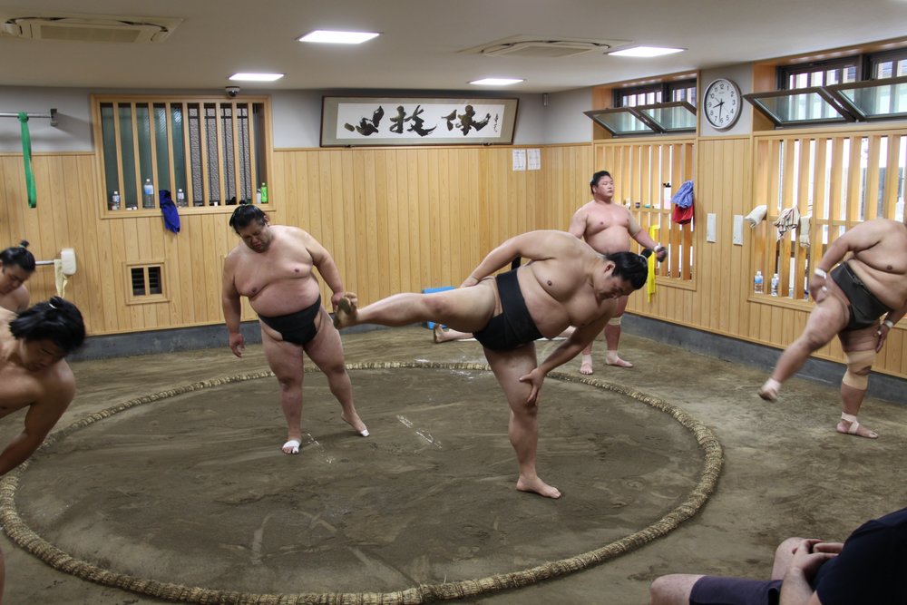sumo wrestlers in training