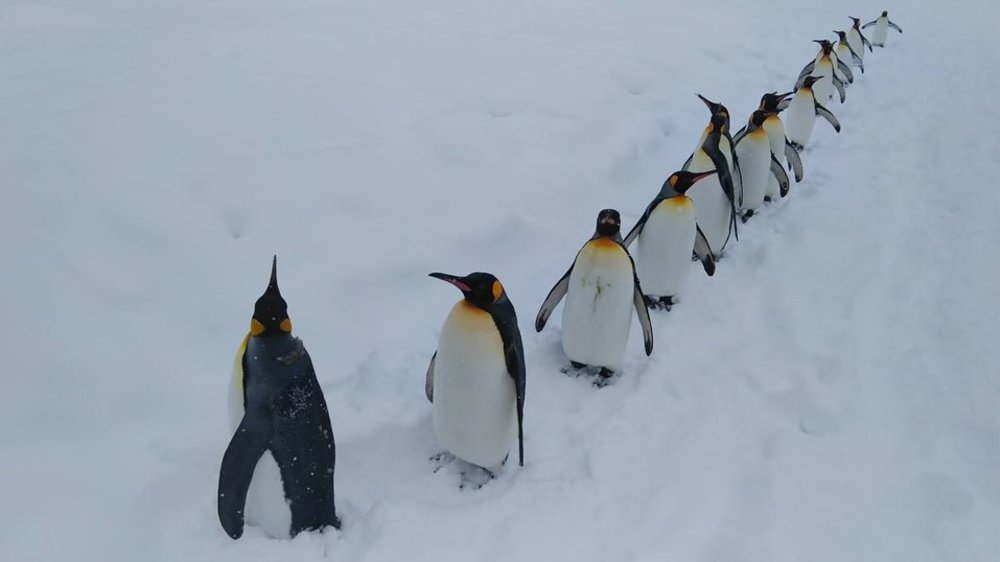 du-lich-Hokkaido-7-ngay-6-dem