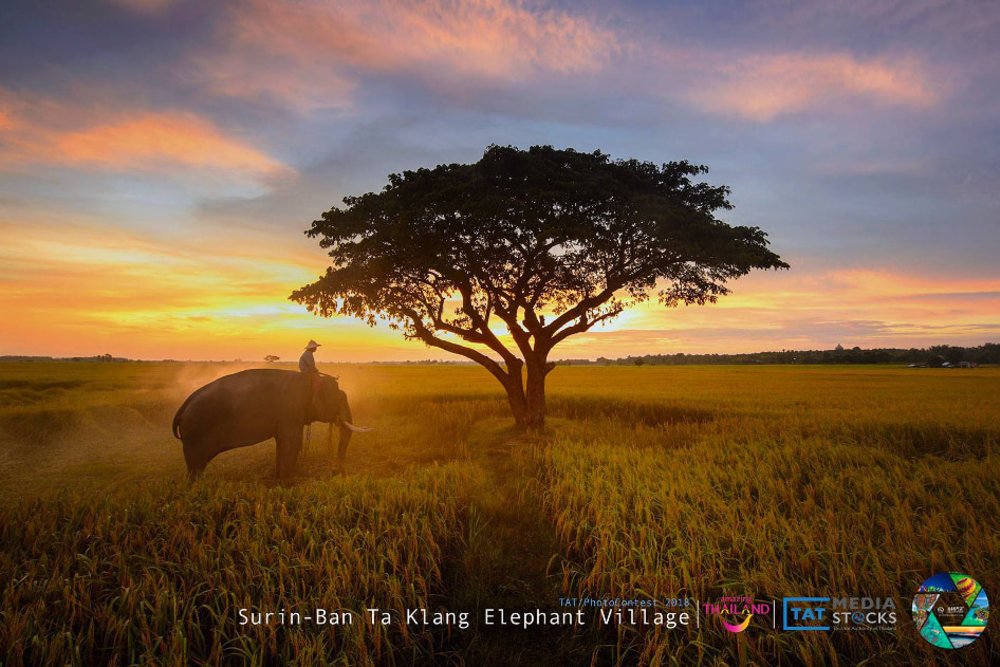 เส้นทางสุขทันทีที่เที่ยวไทย 3 วัน 2 คืน