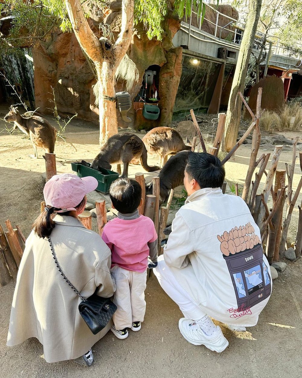 悉尼野生動物園
