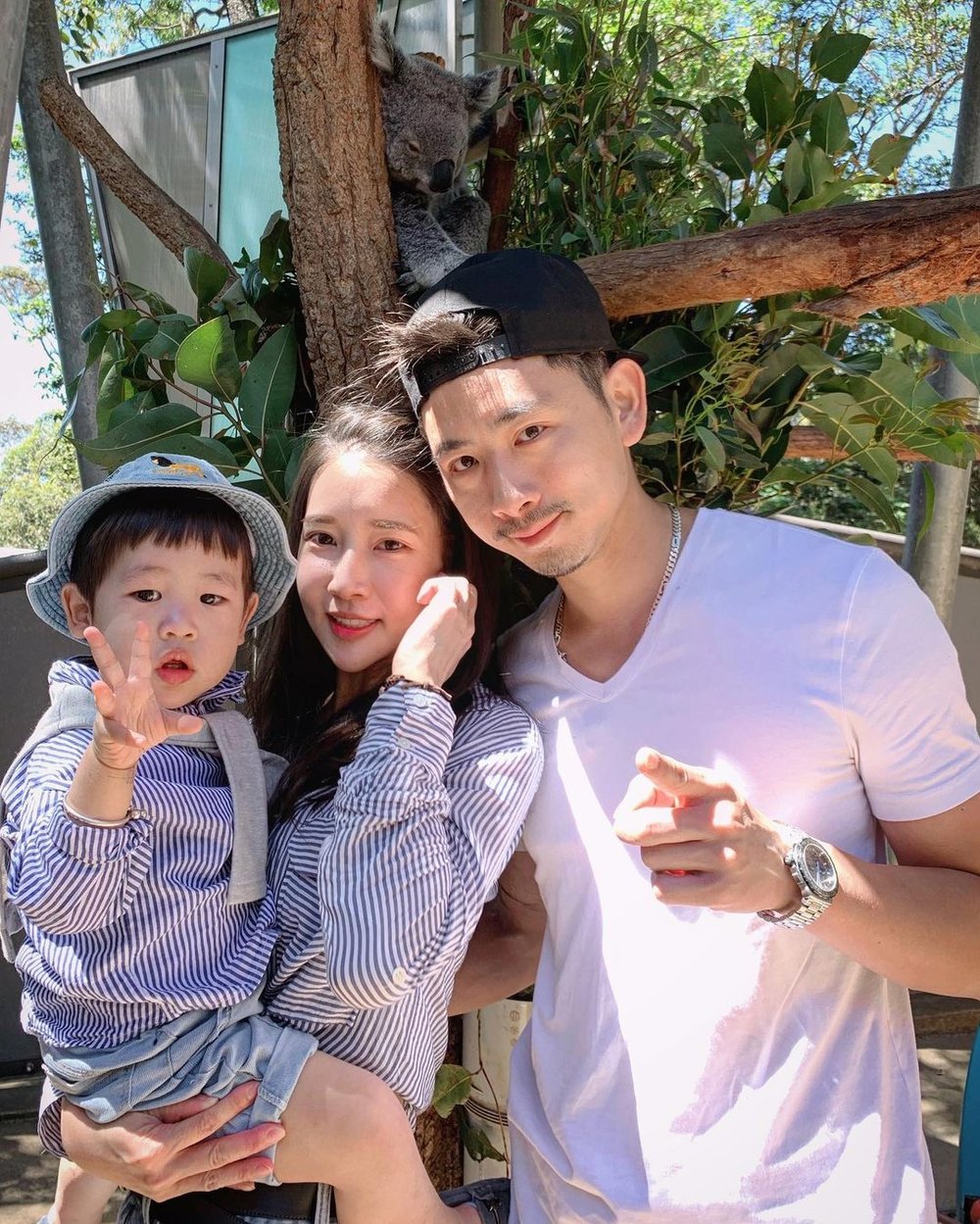 悉尼塔龍加動物園