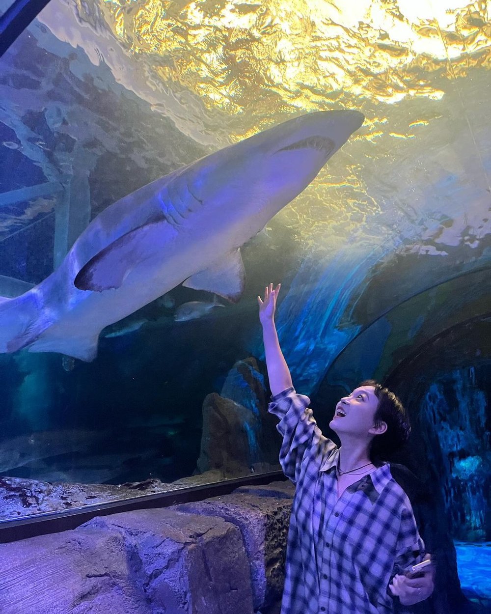 悉尼 SEA LIFE 水族館