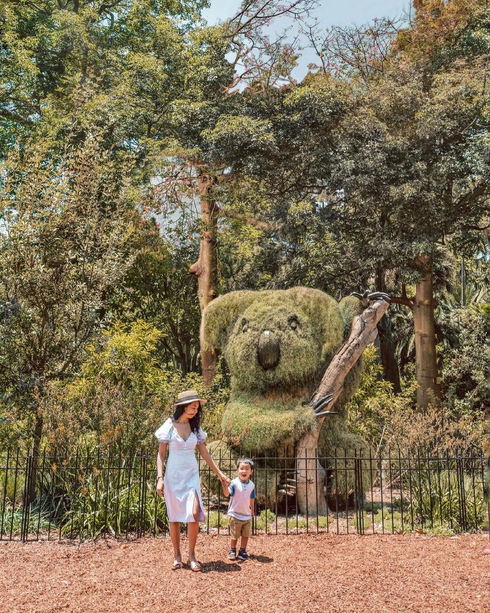 悉尼皇家植物園