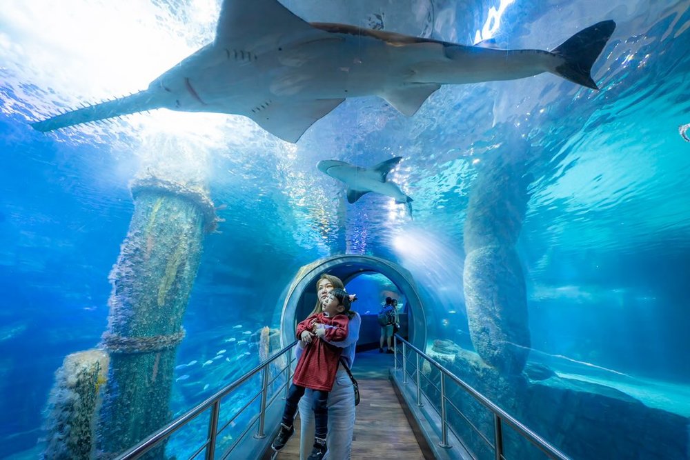 墨爾本 Sea Life 水族館