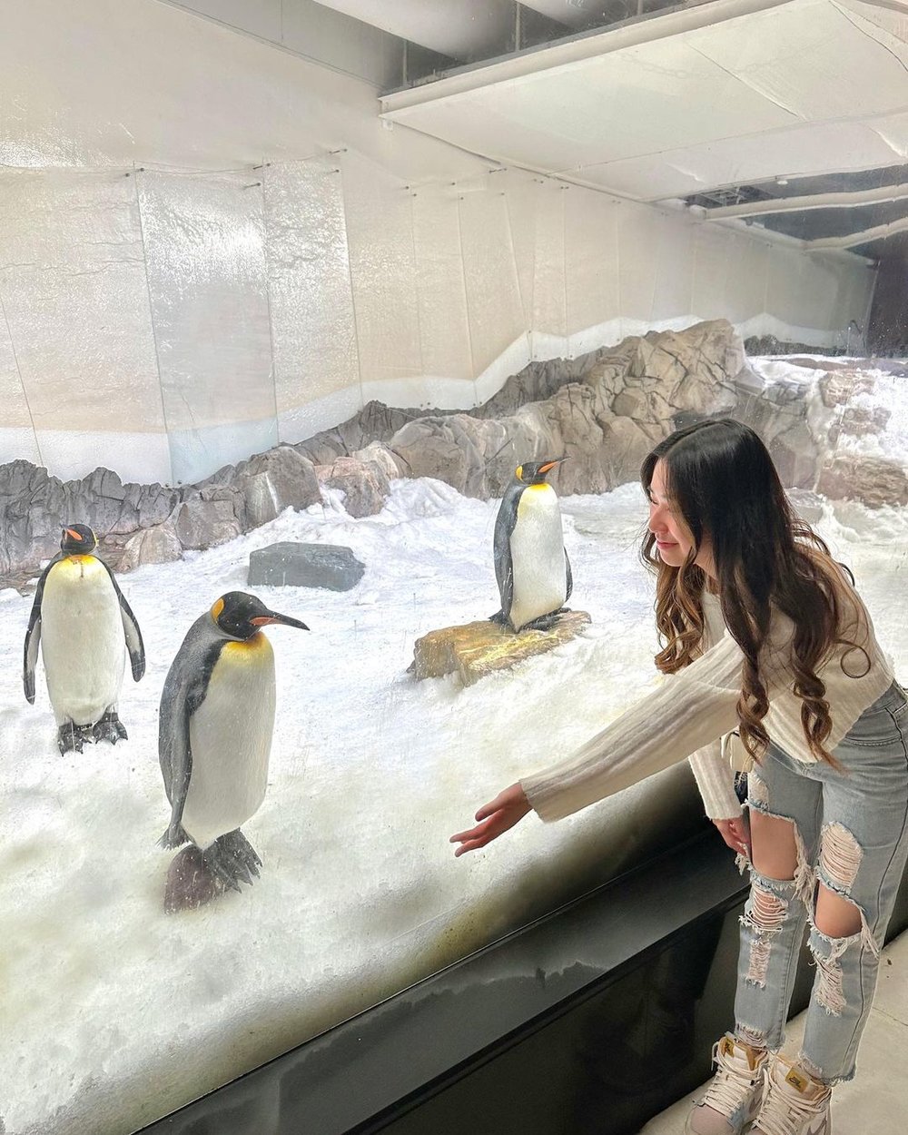 墨爾本 Sea Life 水族館