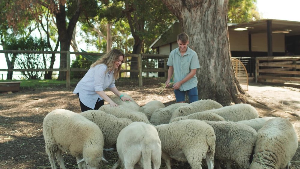 perth road trip itinerary Settlers Rest Farm Stay