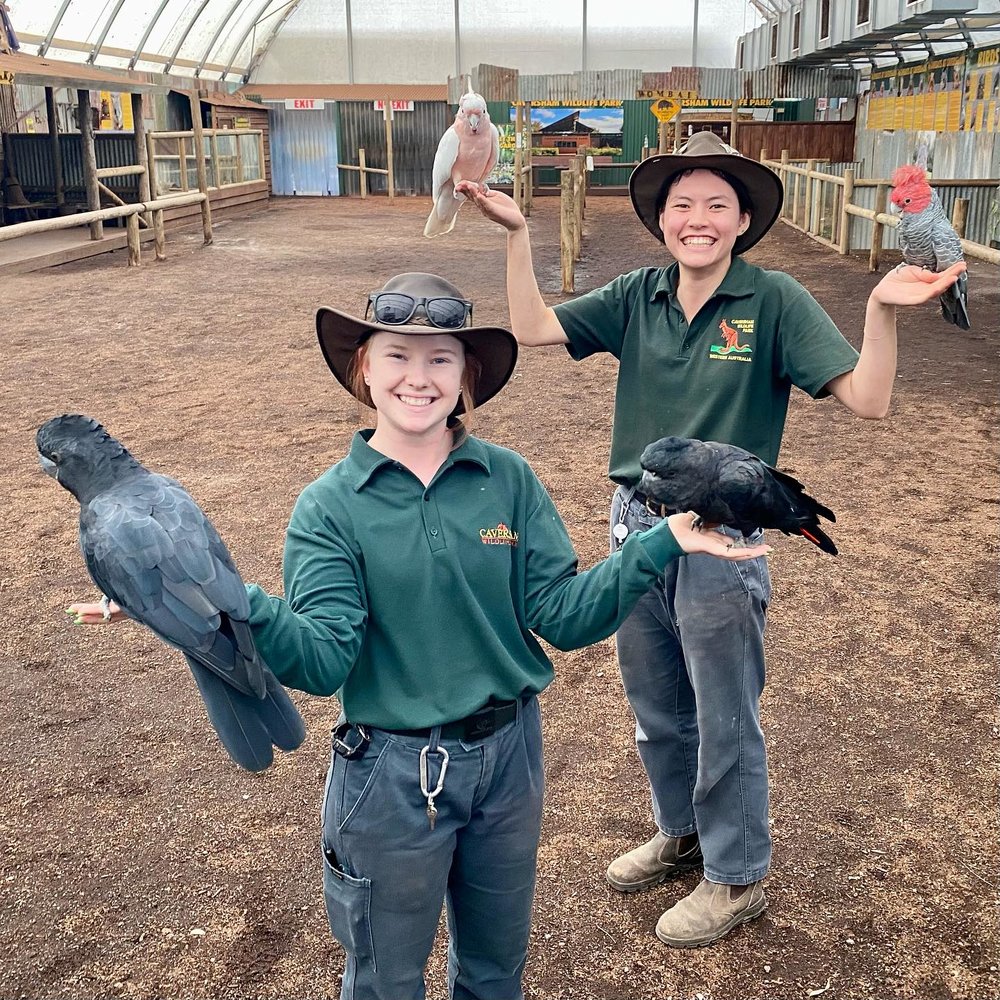 perth road trip itinerary Caversham Wildlife Park on Facebook