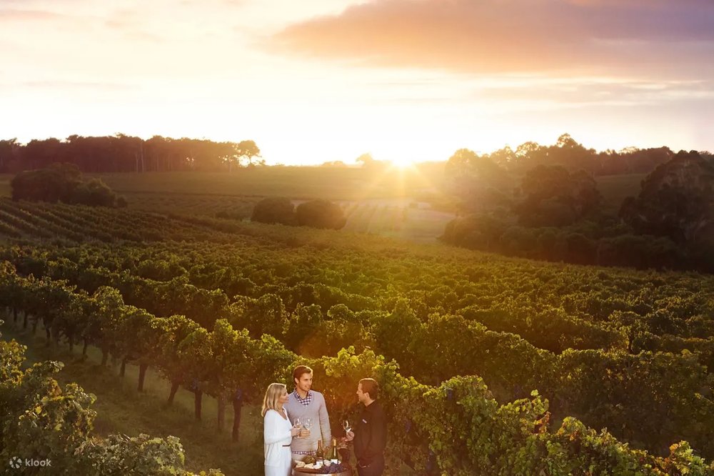 perth road trip itinerary leeuwin estate