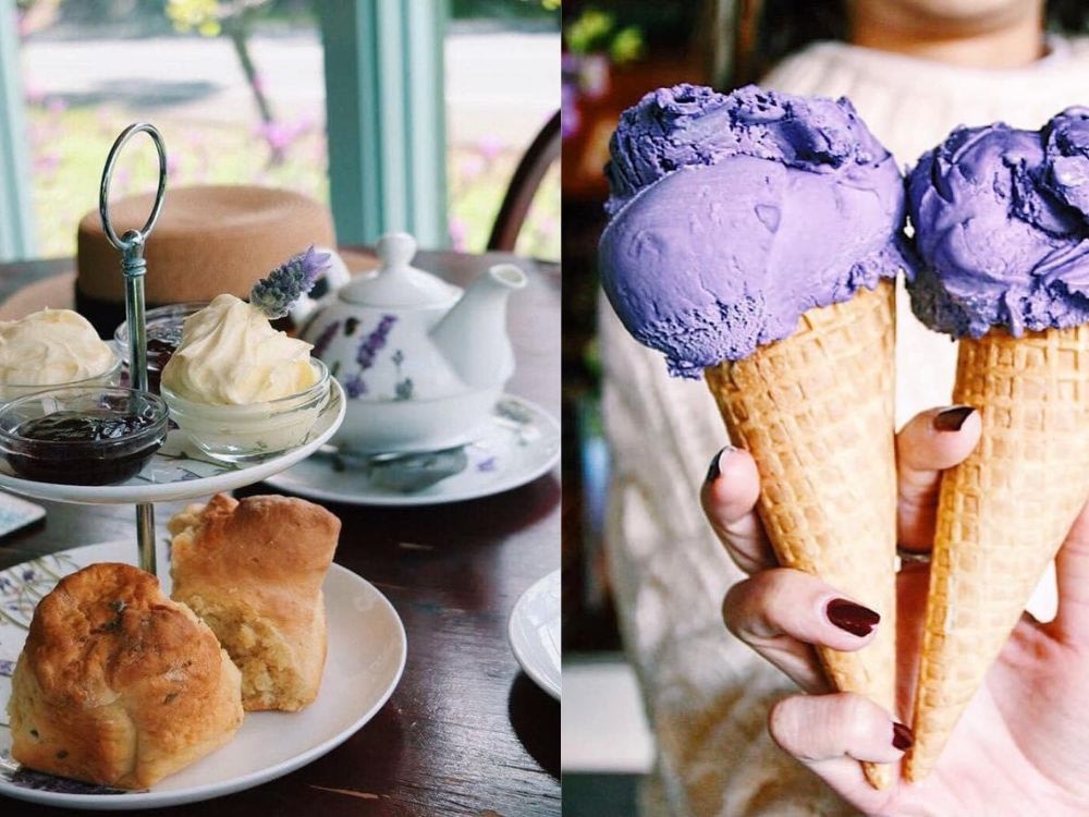 perth road trip itinerary cape lavender teahouse