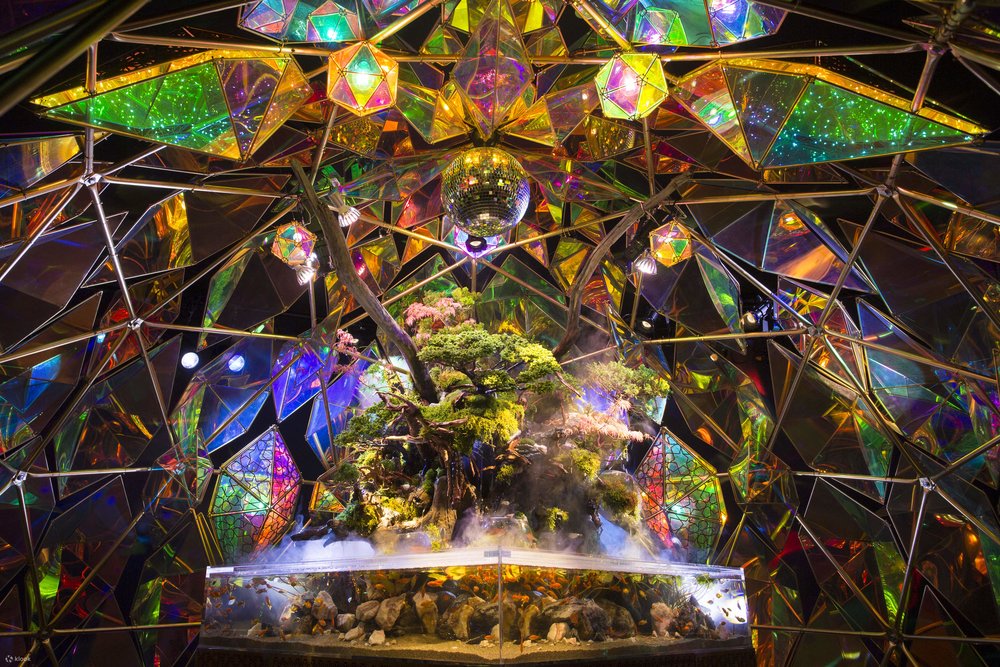 Nara Kingyo,關西水族館,動物園