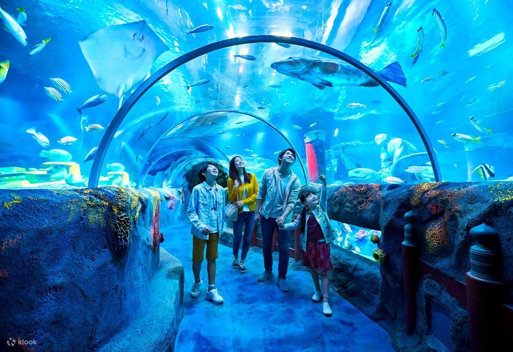 Thủy cung Sealife Nagoya 