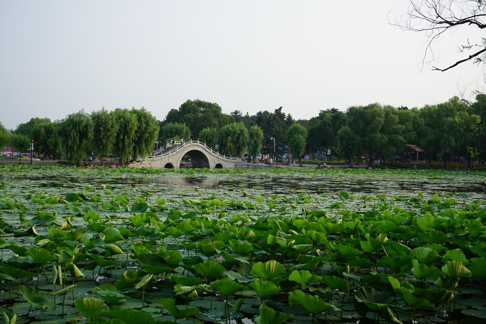  Công Viên Nam Hồ - Nam Ninh 