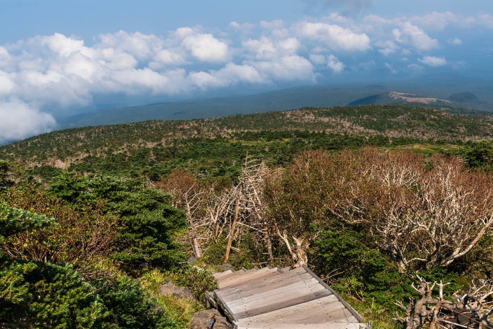 Con Đường Gwaneumsa 