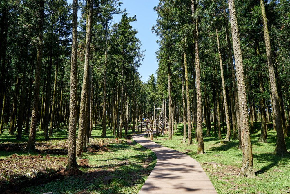  Rừng Giải Trí Tự Nhiên Jeolmul