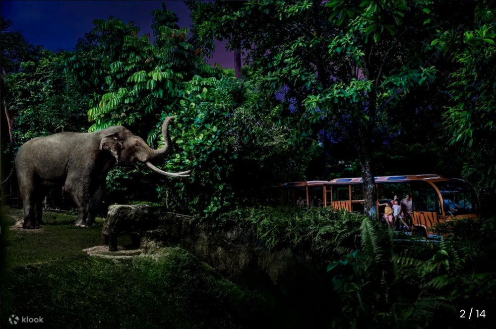 PH Night Safari Singapore