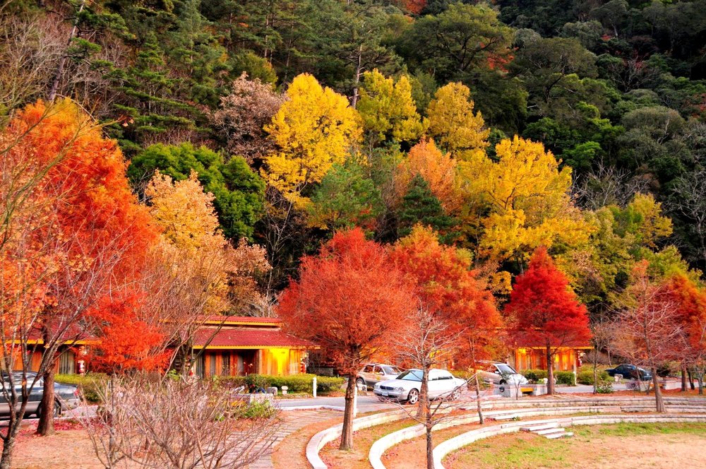 Autumn in Taiwan Wuling Farm