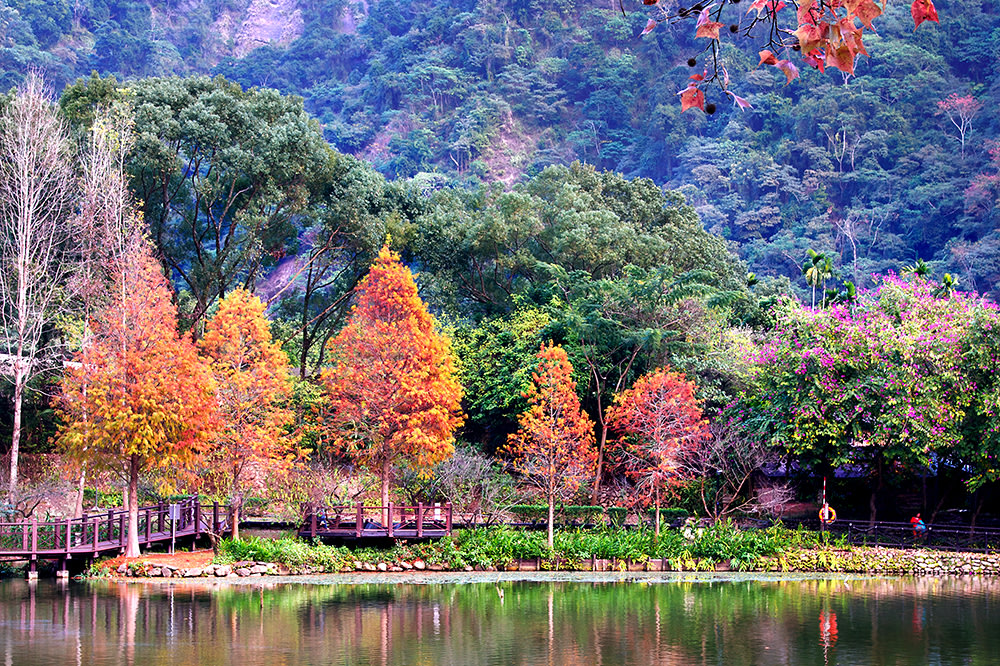 Autumn in Taiwan Sun Moon Lake