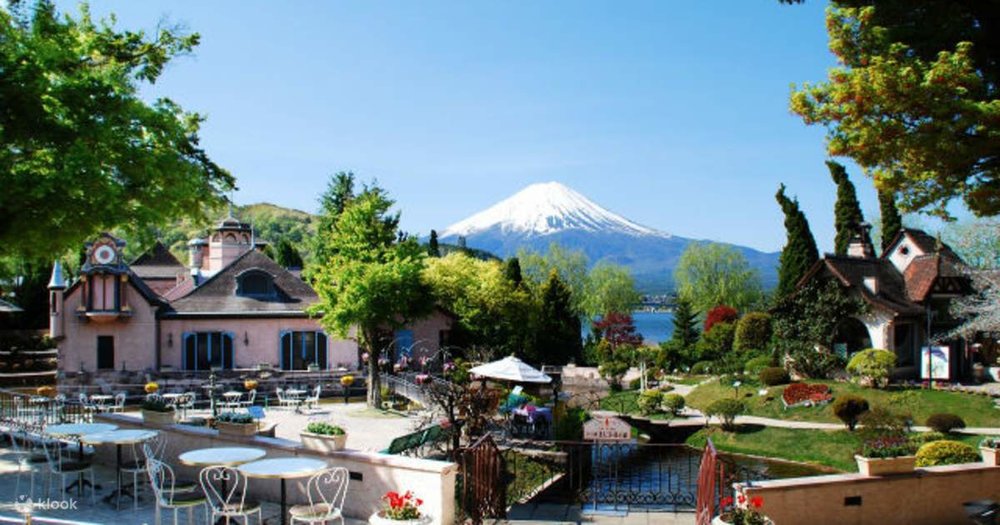 Bảo Tàng Âm Nhạc Và Rừng Kawaguchiko