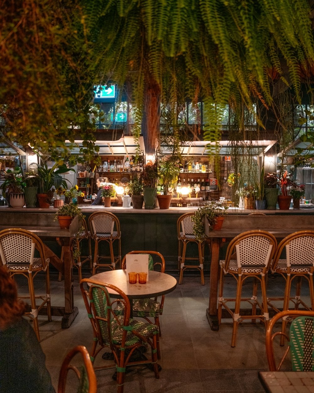 Dining spot with full of plants