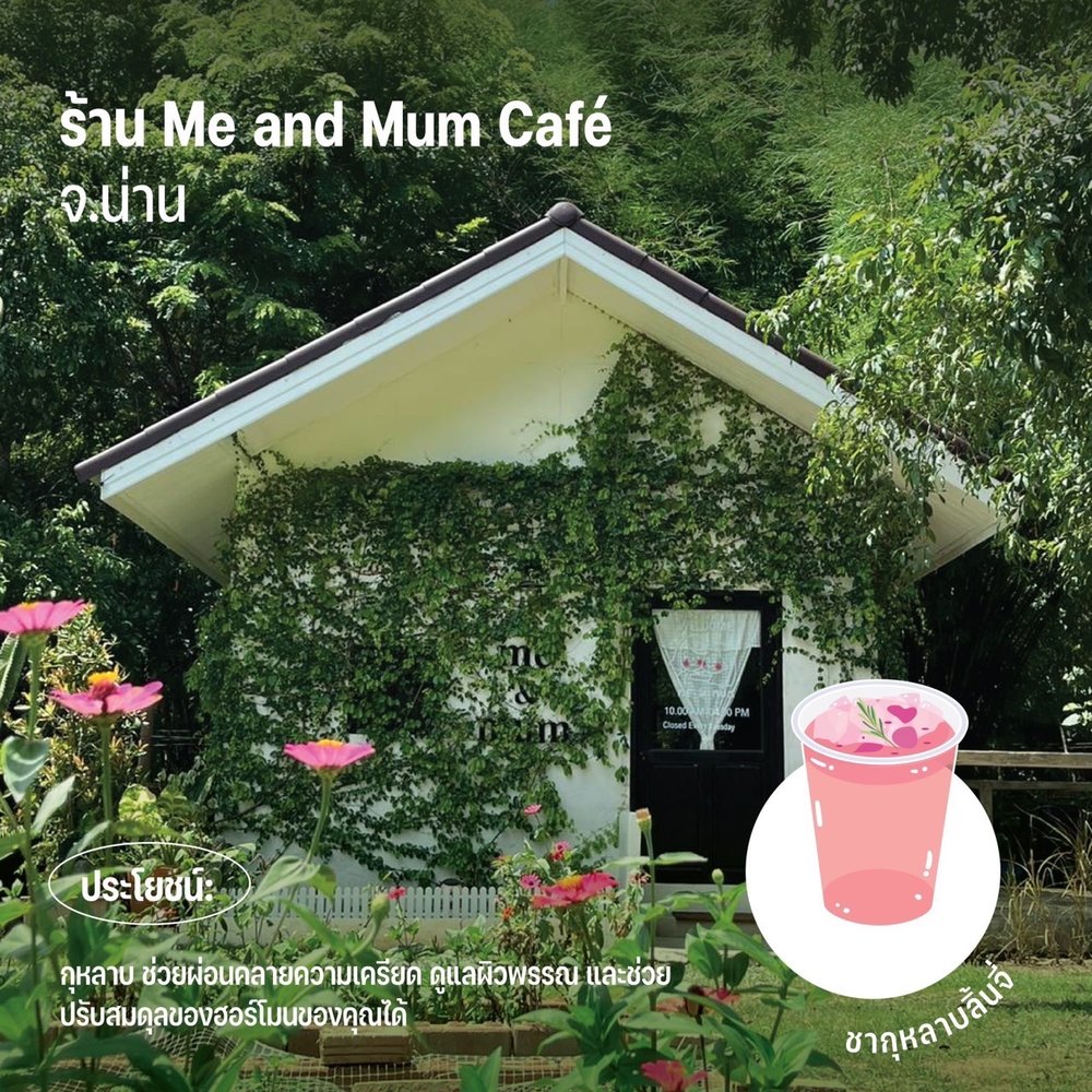เครดิตภาพ: ร้าน Me and Mum Cafe จาก ททท.