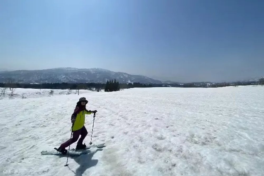 Nozawa Onsen Ski Resort｜Features