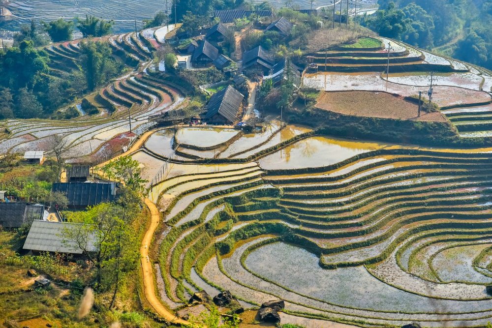 Không Trêu Ghẹo Các Cô Gái Bản