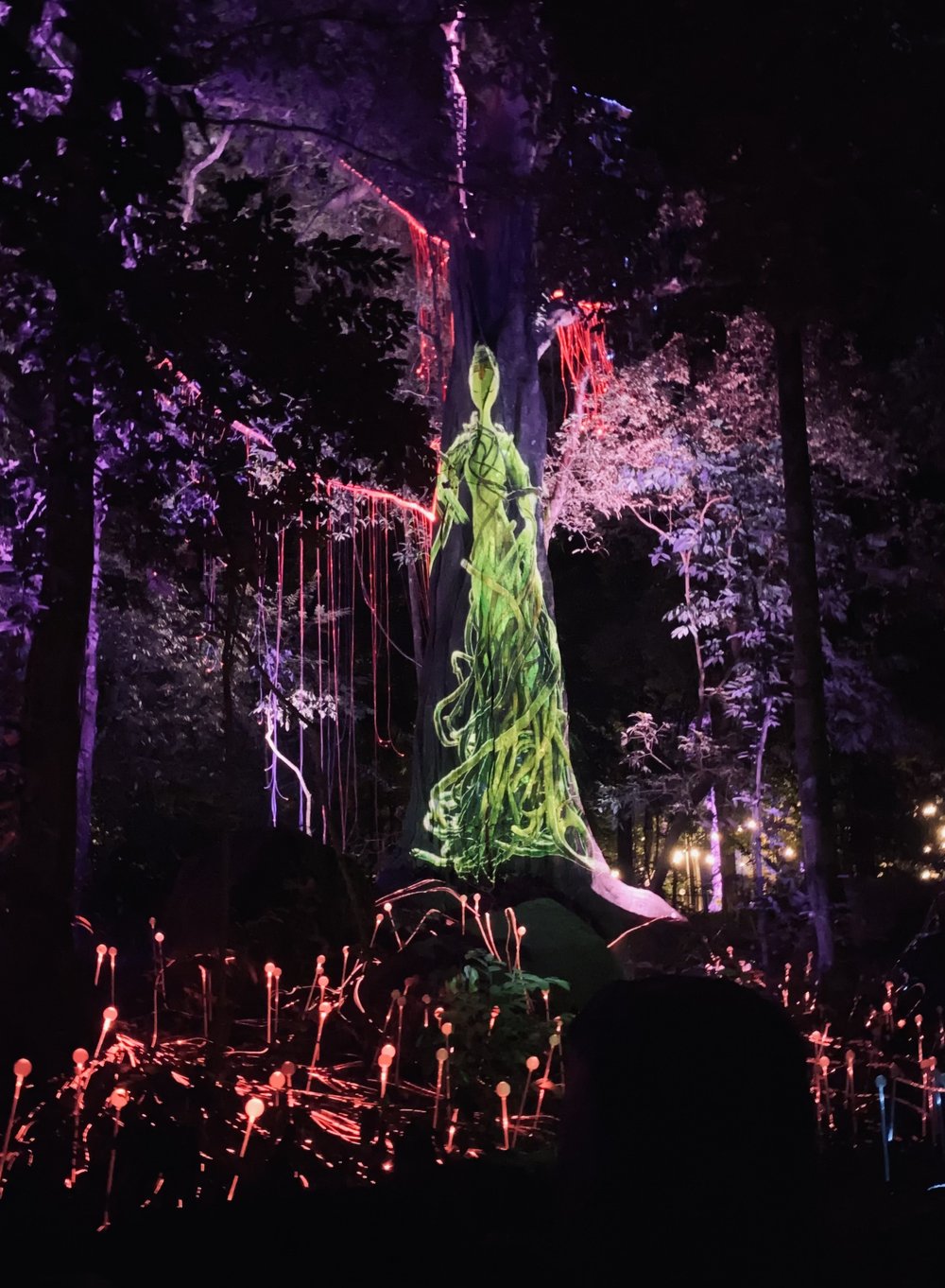 Dream Forest Langkawi