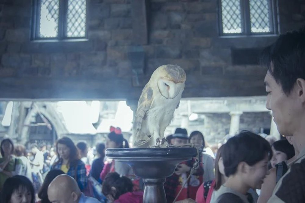 哈利波特禁忌之旅