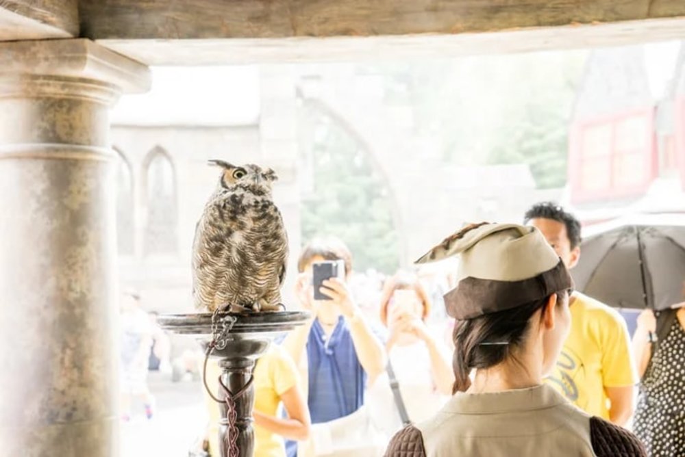 哈利波特禁忌之旅