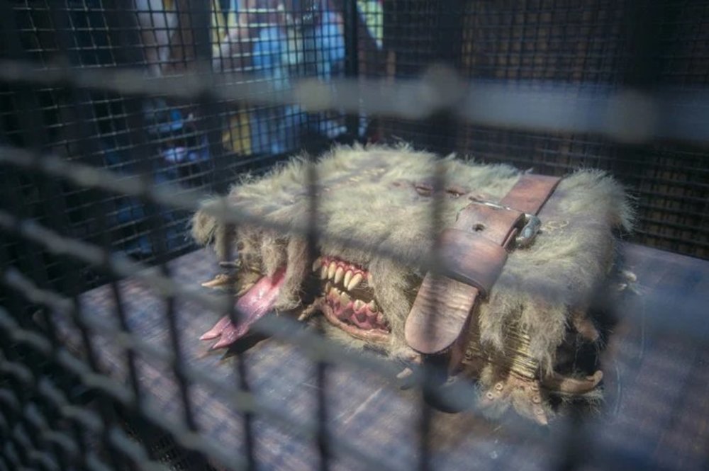 哈利波特禁忌之旅