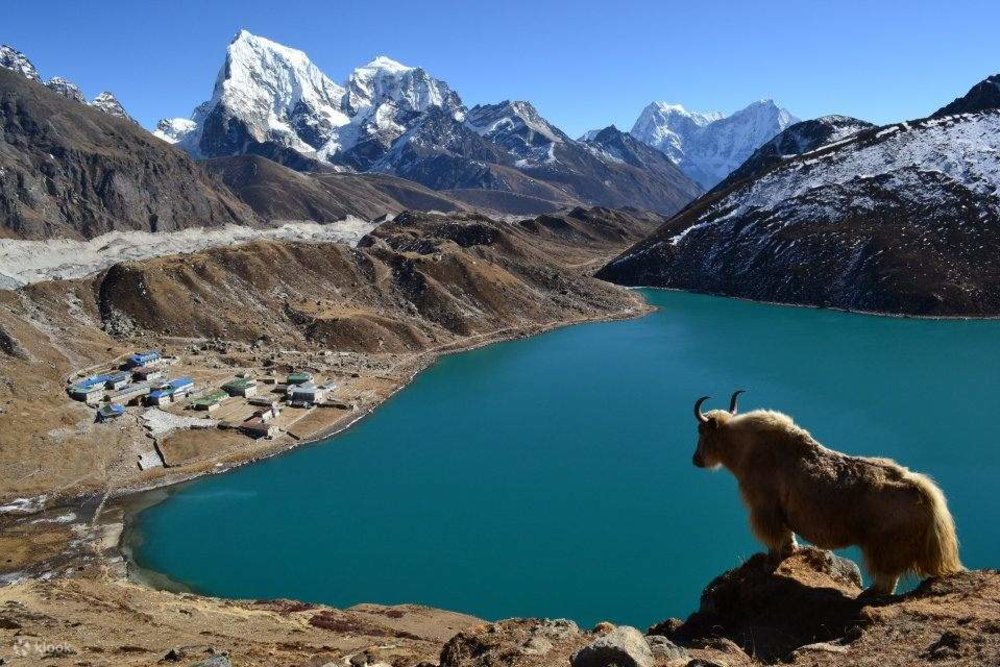 Hồ Gokyo